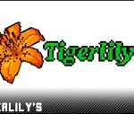 tigerlilys-vendor